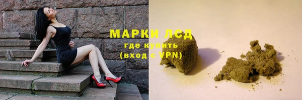 ПСИЛОЦИБИНОВЫЕ ГРИБЫ Майский