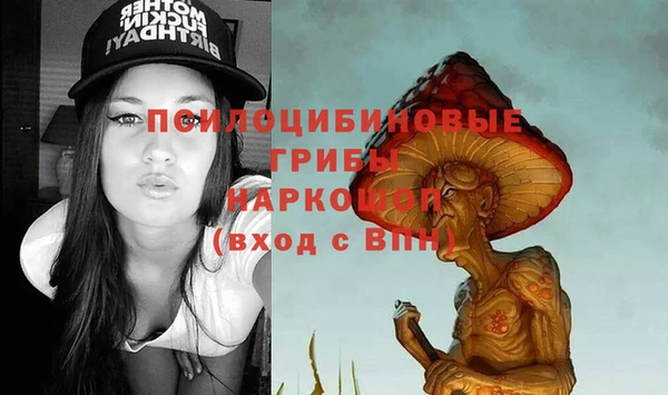 бошки Магас