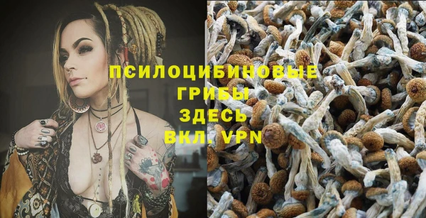 бошки Магас