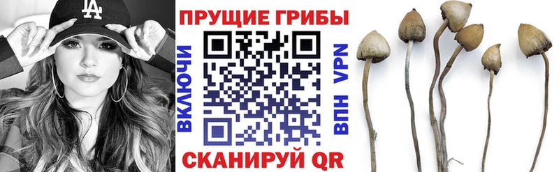 Галлюциногенные грибы мухоморы ссылка на мегу как зайти Называевск